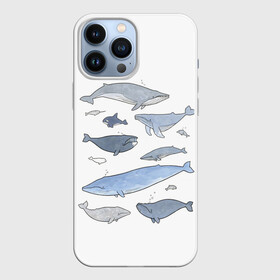 Чехол для iPhone 13 Pro Max с принтом киты в Петрозаводске,  |  | ocean | orca | sea | sea animal | whale | графика | дельфин | иллюстрация | касатка | кит | море | океан | рисунок кита