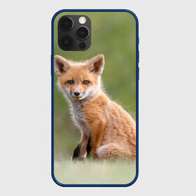 Чехол для iPhone 12 Pro с принтом Лисенок в Петрозаводске, силикон | область печати: задняя сторона чехла, без боковых панелей | Тематика изображения на принте: fox | foxy | животное | звери | лиса | лисенок | лисичка | милая | рыжая | фокс