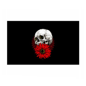 Бумага для упаковки 3D с принтом Череп и Красный Цветок Skull в Петрозаводске, пластик и полированная сталь | круглая форма, металлическое крепление в виде кольца | flowers | head | skulls | букет | голова | животные | кости | мозги | паттерн | полосы | природа | розы | скелет | текстура | узор | флора | хо | цветы | черепа | черный | яркий