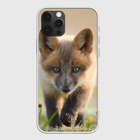 Чехол для iPhone 12 Pro Max с принтом Лисичка в Петрозаводске, Силикон |  | Тематика изображения на принте: fox | foxy | животное | звери | лиса | лисенок | лисичка | милая | рыжая | фокс