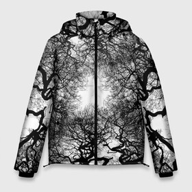 Мужская зимняя куртка 3D с принтом Texture Branches в Петрозаводске, верх — 100% полиэстер; подкладка — 100% полиэстер; утеплитель — 100% полиэстер | длина ниже бедра, свободный силуэт Оверсайз. Есть воротник-стойка, отстегивающийся капюшон и ветрозащитная планка. 

Боковые карманы с листочкой на кнопках и внутренний карман на молнии. | abstraction | black | branches | bushes | forest | grove | lines | negative | patterns | shrubs | thickets | trees | white | абстракция | белое | ветви | ветки | деревья | заросли | кустарники | кусты | лес | линии | негатив | роща | узоры | черное