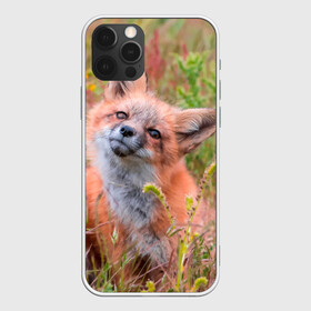 Чехол для iPhone 12 Pro с принтом Лисичка в Петрозаводске, силикон | область печати: задняя сторона чехла, без боковых панелей | Тематика изображения на принте: fox | foxy | животное | звери | лиса | лисенок | лисичка | милая | рыжая | фокс