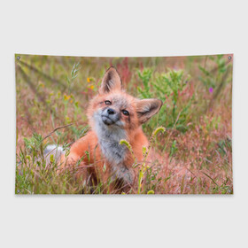 Флаг-баннер с принтом Лисичка в Петрозаводске, 100% полиэстер | размер 67 х 109 см, плотность ткани — 95 г/м2; по краям флага есть четыре люверса для крепления | fox | foxy | животное | звери | лиса | лисенок | лисичка | милая | рыжая | фокс