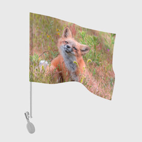 Флаг для автомобиля с принтом Лисичка в Петрозаводске, 100% полиэстер | Размер: 30*21 см | fox | foxy | животное | звери | лиса | лисенок | лисичка | милая | рыжая | фокс