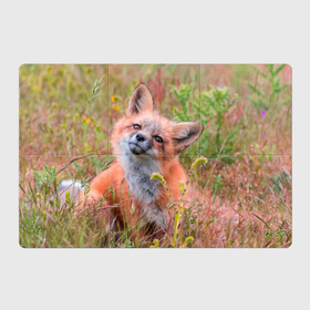 Магнитный плакат 3Х2 с принтом Лисичка в Петрозаводске, Полимерный материал с магнитным слоем | 6 деталей размером 9*9 см | fox | foxy | животное | звери | лиса | лисенок | лисичка | милая | рыжая | фокс