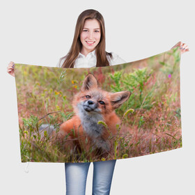 Флаг 3D с принтом Лисичка в Петрозаводске, 100% полиэстер | плотность ткани — 95 г/м2, размер — 67 х 109 см. Принт наносится с одной стороны | fox | foxy | животное | звери | лиса | лисенок | лисичка | милая | рыжая | фокс