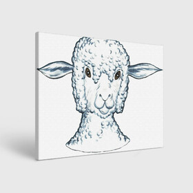 Холст прямоугольный с принтом Овечка в Петрозаводске, 100% ПВХ |  | арт | белая | белое животное | овечка | овца | пушистая | пушистик | пушистое животное | рисунок | ушки