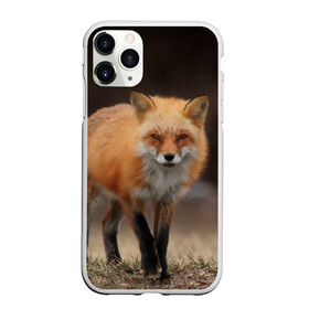 Чехол для iPhone 11 Pro матовый с принтом Хитрая лисица в Петрозаводске, Силикон |  | fox | foxy | животное | звери | лиса | лисенок | лисичка | милая | рыжая | фокс