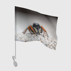 Флаг для автомобиля с принтом Паук в Петрозаводске, 100% полиэстер | Размер: 30*21 см | живность | животное | животные | насекомое | насекомые | паук | пауки | паучки | паучок