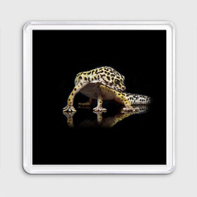 Магнит 55*55 с принтом ЭУБЛЕФАР  EUBLEPHARIS в Петрозаводске, Пластик | Размер: 65*65 мм; Размер печати: 55*55 мм | tegunvteg | геккон | гекон | зублефар | леопардовый геккон | эу | эублефар | ящерица