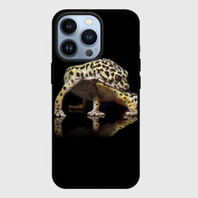 Чехол для iPhone 13 Pro с принтом ЭУБЛЕФАР  EUBLEPHARIS в Петрозаводске,  |  | tegunvteg | геккон | гекон | зублефар | леопардовый геккон | эу | эублефар | ящерица