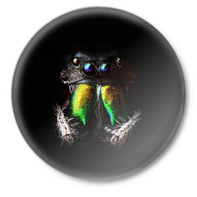 Значок с принтом ПАУК МАКРО СЪЕМКА в Петрозаводске,  металл | круглая форма, металлическая застежка в виде булавки | Тематика изображения на принте: tegunvteg | глаза | животные | насекомые | паук | природа