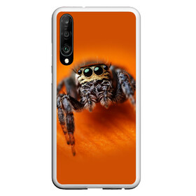 Чехол для Honor P30 с принтом ПАУК  SPIDER в Петрозаводске, Силикон | Область печати: задняя сторона чехла, без боковых панелей | tegunvteg | глаза | животные | макро | насекомые | паук | природа