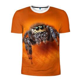 Мужская футболка 3D спортивная с принтом ПАУК  SPIDER в Петрозаводске, 100% полиэстер с улучшенными характеристиками | приталенный силуэт, круглая горловина, широкие плечи, сужается к линии бедра | tegunvteg | глаза | животные | макро | насекомые | паук | природа
