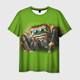 Мужская футболка 3D с принтом ПАУК ВБЛИЗИ в Петрозаводске, 100% полиэфир | прямой крой, круглый вырез горловины, длина до линии бедер | Тематика изображения на принте: tegunvteg | глаза | животные | макро | насекомые | паук | природа