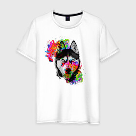 Мужская футболка хлопок с принтом собака с торчащими ушами в Петрозаводске, 100% хлопок | прямой крой, круглый вырез горловины, длина до линии бедер, слегка спущенное плечо. | Тематика изображения на принте: белый | добрый | красивый | краски | собака | хаски | цвет | цветной | черный