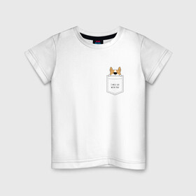 Детская футболка хлопок с принтом Корги в кармане_01 в Петрозаводске, 100% хлопок | круглый вырез горловины, полуприлегающий силуэт, длина до линии бедер | corgi | dog | вельш корги | карман | корги | коржик | собака