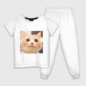 Детская пижама хлопок с принтом Мем про котов в Петрозаводске, 100% хлопок |  брюки и футболка прямого кроя, без карманов, на брюках мягкая резинка на поясе и по низу штанин
 | Тематика изображения на принте: белый | кот | мем | милый | прикол