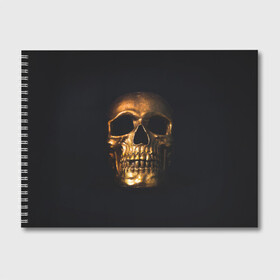 Альбом для рисования с принтом Golden Skull в Петрозаводске, 100% бумага
 | матовая бумага, плотность 200 мг. | Тематика изображения на принте: golden | midas | skull | иллюстрация | черепа