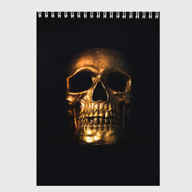 Скетчбук с принтом Golden Skull в Петрозаводске, 100% бумага
 | 48 листов, плотность листов — 100 г/м2, плотность картонной обложки — 250 г/м2. Листы скреплены сверху удобной пружинной спиралью | Тематика изображения на принте: golden | midas | skull | иллюстрация | черепа