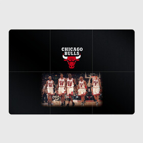 Магнитный плакат 3Х2 с принтом CHICAGO BULLS [3] в Петрозаводске, Полимерный материал с магнитным слоем | 6 деталей размером 9*9 см | Тематика изображения на принте: basketball | bulls | chicago | chicago bulls | jordan | nba | баскетбол | джордан | нба | чикаго буллз