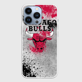 Чехол для iPhone 13 Pro с принтом CHICAGO BULLS [8] в Петрозаводске,  |  | Тематика изображения на принте: basketball | bulls | chicago | chicago bulls | jordan | nba | баскетбол | джордан | нба | чикаго буллз