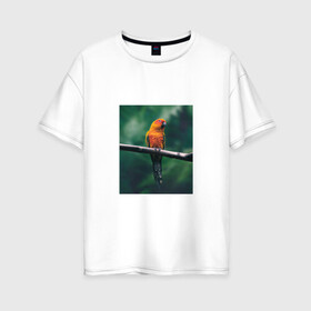 Женская футболка хлопок Oversize с принтом Попугай сидит на ветке в Петрозаводске, 100% хлопок | свободный крой, круглый ворот, спущенный рукав, длина до линии бедер
 | животные | звери | иллюстрации | попугай | популярные | прикольные | птица | сидит