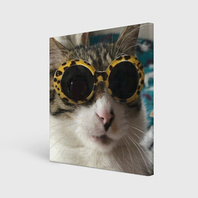 Холст квадратный с принтом Мем про кота в Петрозаводске, 100% ПВХ |  | в очках | киса селфи | кот | мем | милый | прикол