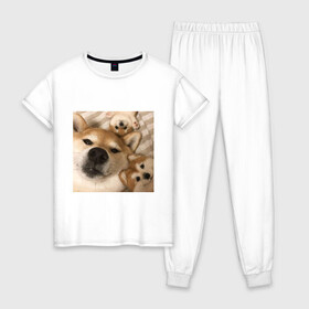 Женская пижама хлопок с принтом Мем про собак в Петрозаводске, 100% хлопок | брюки и футболка прямого кроя, без карманов, на брюках мягкая резинка на поясе и по низу штанин | Тематика изображения на принте: белый | игрушки мягкие | мем | милый | прикол | сиба ину | собака