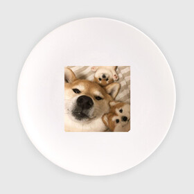 Тарелка с принтом Мем про собак в Петрозаводске, фарфор | диаметр - 210 мм
диаметр для нанесения принта - 120 мм | Тематика изображения на принте: белый | игрушки мягкие | мем | милый | прикол | сиба ину | собака