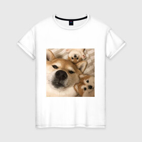 Женская футболка хлопок с принтом Мем про собак в Петрозаводске, 100% хлопок | прямой крой, круглый вырез горловины, длина до линии бедер, слегка спущенное плечо | белый | игрушки мягкие | мем | милый | прикол | сиба ину | собака