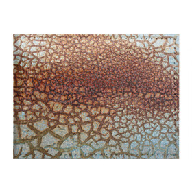 Обложка для студенческого билета с принтом Пустынные Трещины в Петрозаводске, натуральная кожа | Размер: 11*8 см; Печать на всей внешней стороне | линии | лучшее | полосы | природа | пустыня | топ | тренды | трещины