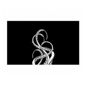 Бумага для упаковки 3D с принтом Octopus Black and White в Петрозаводске, пластик и полированная сталь | круглая форма, металлическое крепление в виде кольца | fish | kraken | ocean spirit | octopus | sea | summer | вода | водный мир | животные | зверь | кальмар | кракен | лето | монстр | море | морская живность | морские обитатели | осьминог | отпуск | рыба | черно белый | чуд