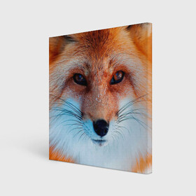 Холст квадратный с принтом Мордочка лисы в Петрозаводске, 100% ПВХ |  | fox | foxy | животное | звери | лиса | лисенок | лисичка | милая | рыжая | фокс
