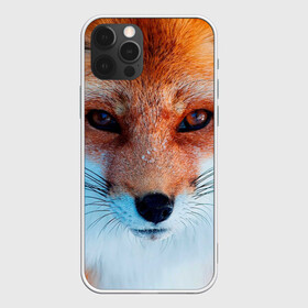 Чехол для iPhone 12 Pro с принтом Мордочка лисы в Петрозаводске, силикон | область печати: задняя сторона чехла, без боковых панелей | Тематика изображения на принте: fox | foxy | животное | звери | лиса | лисенок | лисичка | милая | рыжая | фокс