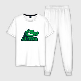 Мужская пижама хлопок с принтом Аллигатор в Петрозаводске, 100% хлопок | брюки и футболка прямого кроя, без карманов, на брюках мягкая резинка на поясе и по низу штанин
 | alligator | crocodile | reptile | аллигатор | крокодил | крокодильчик