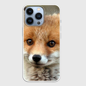 Чехол для iPhone 13 Pro с принтом Миленький лисенок в Петрозаводске,  |  | fox | foxy | животное | звери | лиса | лисенок | лисичка | милая | рыжая | фокс