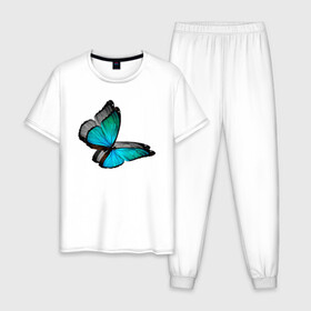 Мужская пижама хлопок с принтом Бабочка в Петрозаводске, 100% хлопок | брюки и футболка прямого кроя, без карманов, на брюках мягкая резинка на поясе и по низу штанин
 | butterfly | бабочка | мечтать не вредно | мечты | надпись | насекомые | природа