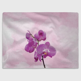 Плед 3D с принтом Нежная орхидея в Петрозаводске, 100% полиэстер | закругленные углы, все края обработаны. Ткань не мнется и не растягивается | blossom | nature | orchid | женственность | красивые цветы | орхидеи | орхидея | фаленопсис