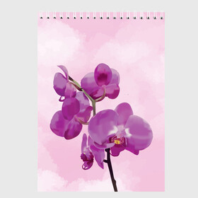 Скетчбук с принтом Нежная орхидея в Петрозаводске, 100% бумага
 | 48 листов, плотность листов — 100 г/м2, плотность картонной обложки — 250 г/м2. Листы скреплены сверху удобной пружинной спиралью | blossom | nature | orchid | женственность | красивые цветы | орхидеи | орхидея | фаленопсис