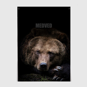 Постер с принтом Русский MEDVED в Петрозаводске, 100% бумага
 | бумага, плотность 150 мг. Матовая, но за счет высокого коэффициента гладкости имеет небольшой блеск и дает на свету блики, но в отличии от глянцевой бумаги не покрыта лаком | животные | звери | медведь | природа | русский медведь | черный