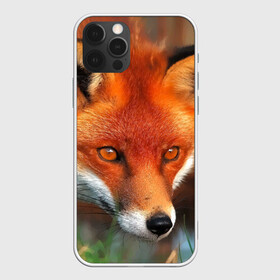 Чехол для iPhone 12 Pro с принтом Лисица охотница в Петрозаводске, силикон | область печати: задняя сторона чехла, без боковых панелей | fox | foxy | животное | звери | лиса | лисенок | лисичка | милая | рыжая | фокс