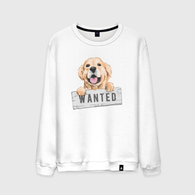Мужской свитшот хлопок с принтом Dog Wanted в Петрозаводске, 100% хлопок |  | cute | dog | wanted | woof | гав | забавный | пес | песель | песик | смешной | собака | собачка | щенок
