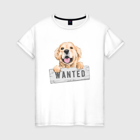 Женская футболка хлопок с принтом Dog Wanted в Петрозаводске, 100% хлопок | прямой крой, круглый вырез горловины, длина до линии бедер, слегка спущенное плечо | cute | dog | wanted | woof | гав | забавный | пес | песель | песик | смешной | собака | собачка | щенок