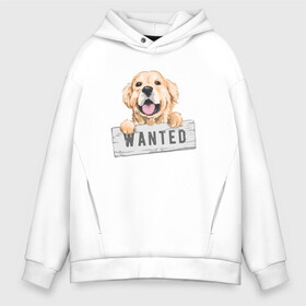 Мужское худи Oversize хлопок с принтом Dog Wanted в Петрозаводске, френч-терри — 70% хлопок, 30% полиэстер. Мягкий теплый начес внутри —100% хлопок | боковые карманы, эластичные манжеты и нижняя кромка, капюшон на магнитной кнопке | Тематика изображения на принте: cute | dog | wanted | woof | гав | забавный | пес | песель | песик | смешной | собака | собачка | щенок