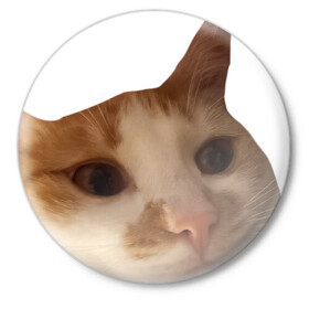 Значок с принтом The shusha What? в Петрозаводске,  металл | круглая форма, металлическая застежка в виде булавки | cat | shusha | what | кошка | что