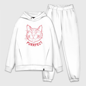 Мужской костюм хлопок OVERSIZE с принтом Purrfect в Петрозаводске,  |  | animal | cat | cute | kitty | meow | друг | животные | киска | кися | китти | кот | котенок | котик | котэ | кошечка | кошка | мур | мяу | питомец