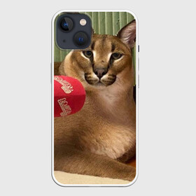 Чехол для iPhone 13 с принтом Шлёпа в Петрозаводске,  |  | floppa | большой | военный | каракал | кот | преступник | русский | шлёпа