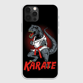 Чехол для iPhone 12 Pro Max с принтом KARATE T-REX в Петрозаводске, Силикон |  | Тематика изображения на принте: animal | dinosaur | fight | fighter | hunter | karate | red | sport | strong | t rex | боец | бои | динозавр | карате | сила | спорт | тиранозавр | хищник