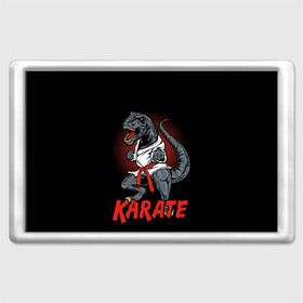 Магнит 45*70 с принтом KARATE T-REX в Петрозаводске, Пластик | Размер: 78*52 мм; Размер печати: 70*45 | animal | dinosaur | fight | fighter | hunter | karate | red | sport | strong | t rex | боец | бои | динозавр | карате | сила | спорт | тиранозавр | хищник